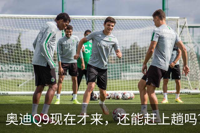 奥迪Q9现在才来，还能赶上趟吗？