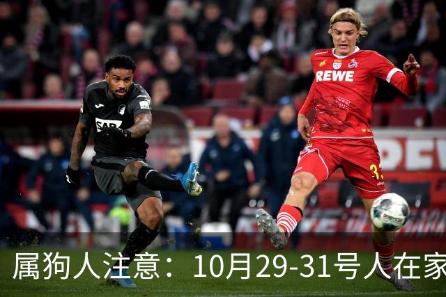 属狗人注意：10月29-31号人在家中坐，事从天上来！福或祸自己看