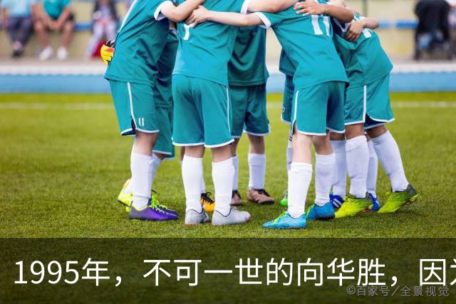 1995年，不可一世的向华胜，因为一根烟，把独宠9年的张敏让给汪雨